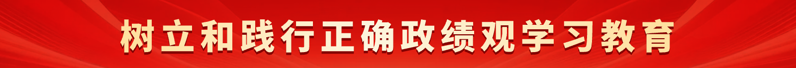 树立和践行正确政绩观学习教育